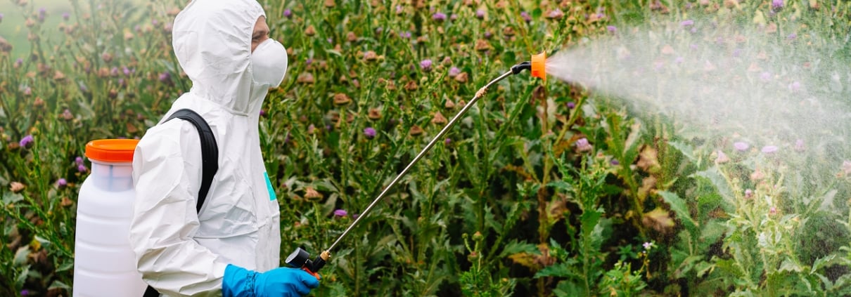 Person In Protective Workwear And Mask Holding Sprinkler And Spraying Herbicide On Land