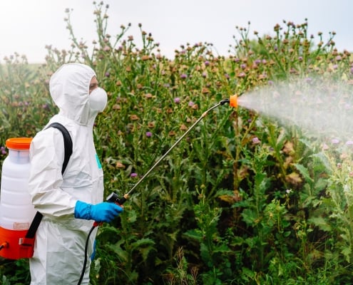 Person In Protective Workwear And Mask Holding Sprinkler And Spraying Herbicide On Land